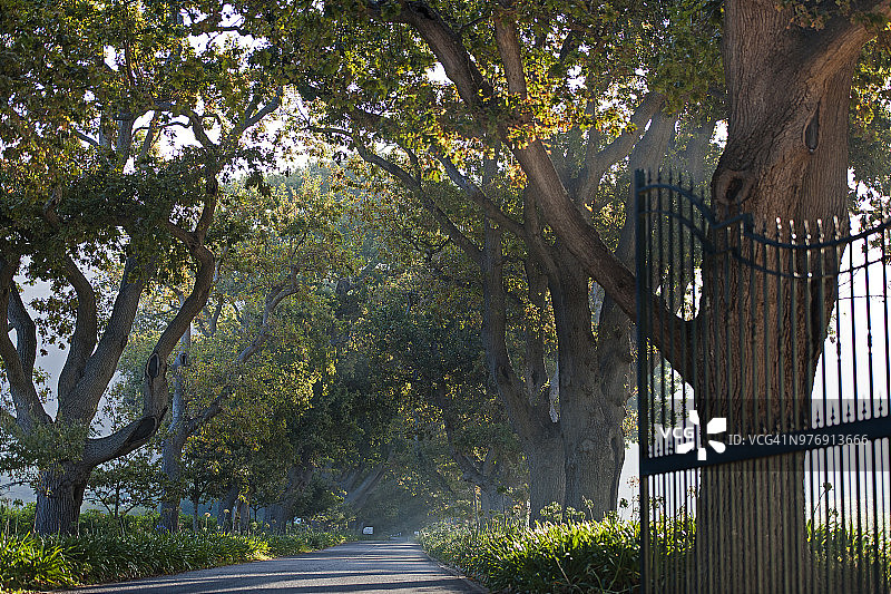 通往布滕弗瓦赫廷庄园的道路，康斯坦茨，开普敦，南非图片素材