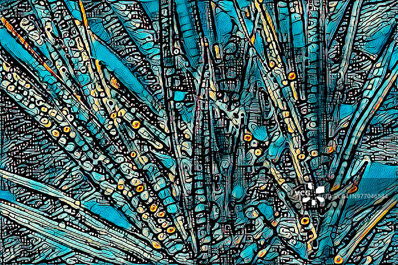 艺术叶子图片素材