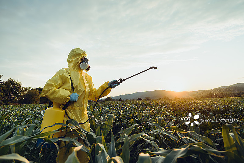 农作物喷洒图片素材
