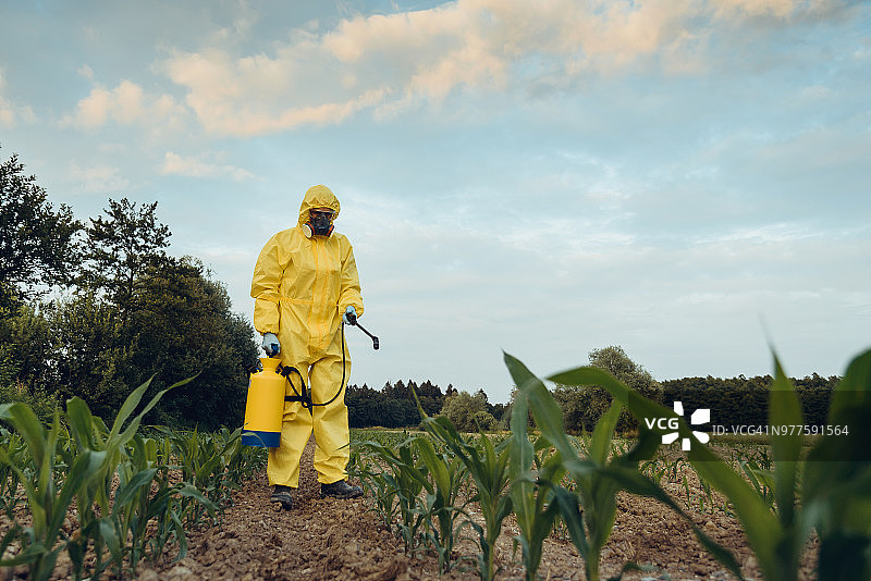 农作物喷洒图片素材