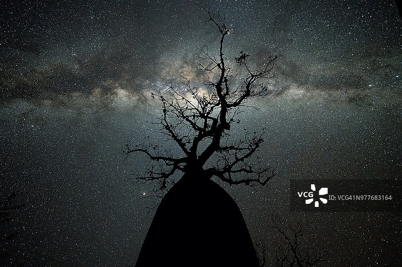 猴面包树大道的银河图片素材