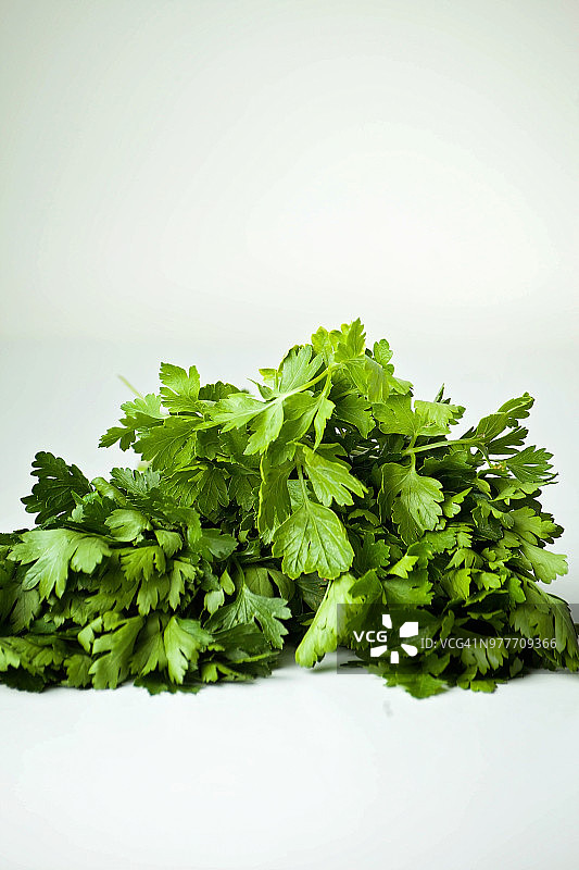 白色背景上的新鲜欧芹特写图片素材