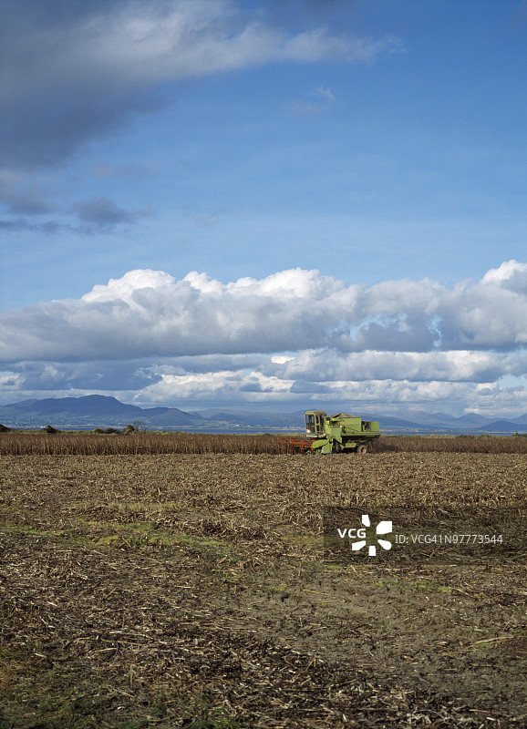 联合收割机收集大豆图片素材