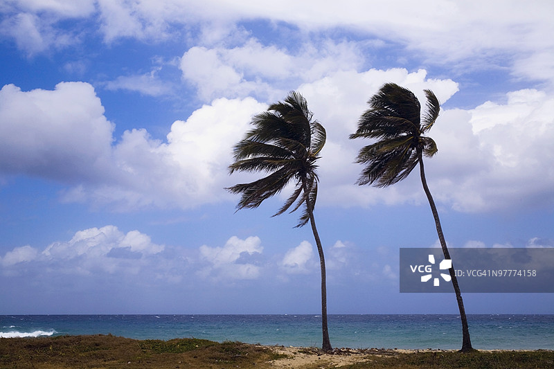 瓦拉德罗，古巴图片素材