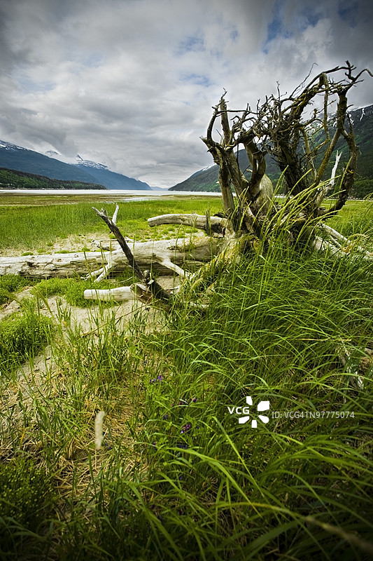 阿拉斯加斯卡圭的迪亚潮滩图片素材