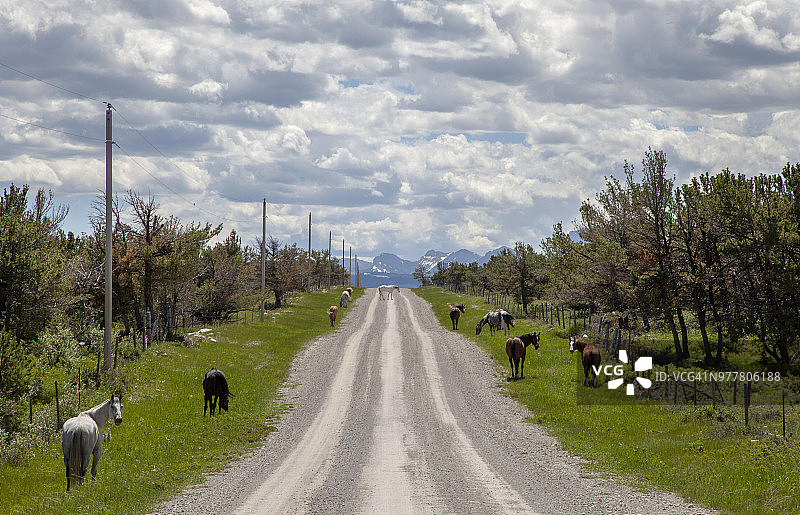 乡间碎石路上马匹的视角，天空乌云密布图片素材