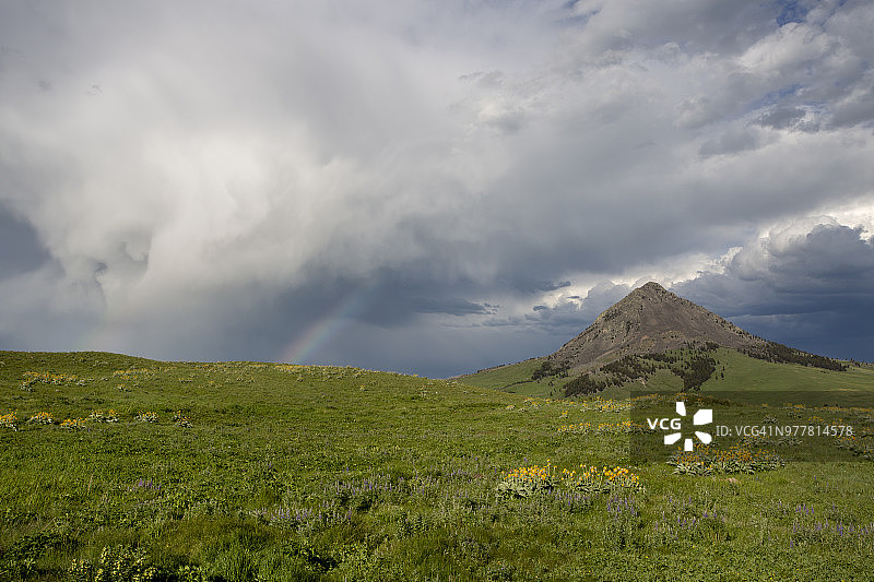 夕阳下，群山背景中遍布美丽野花的草原图片素材