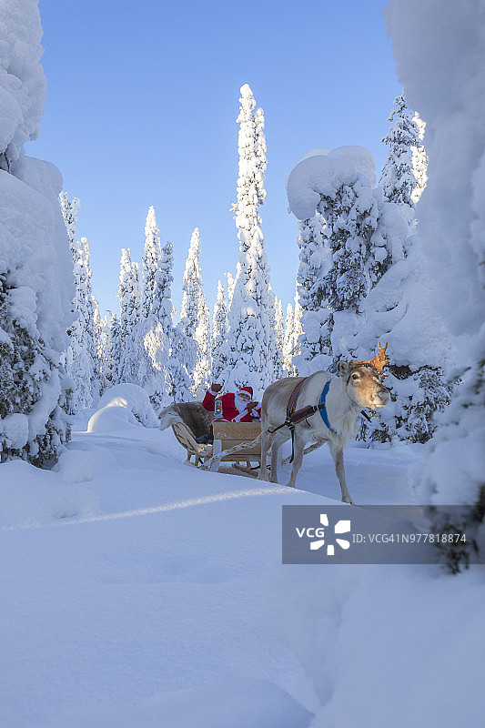 圣诞老人乘坐驯鹿雪橇在雪地森林中图片素材