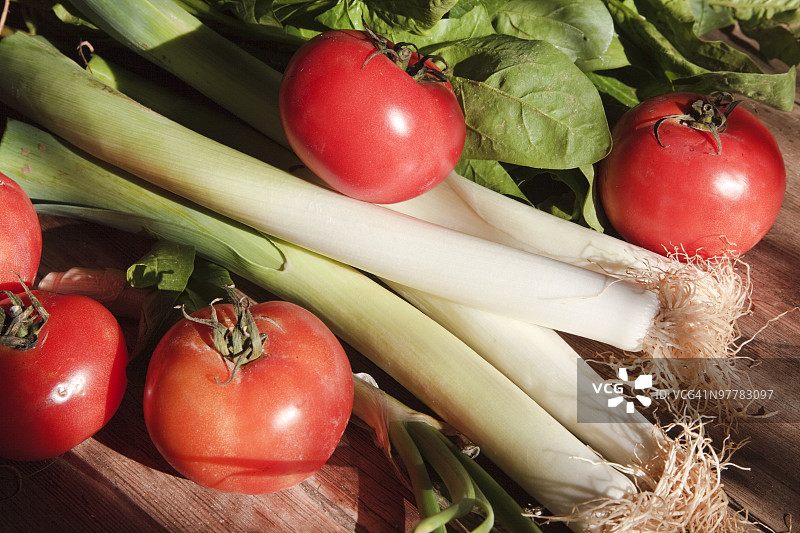 芹菜、番茄和生菜图片素材