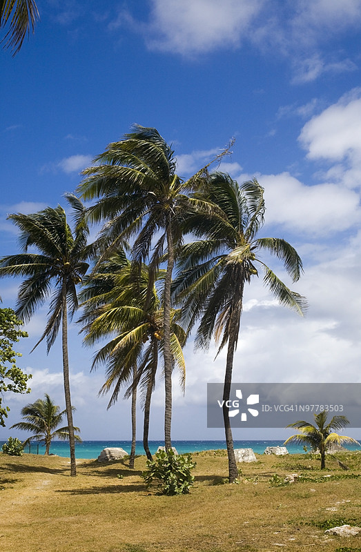 瓦拉德罗海滩，瓦拉德罗，古巴图片素材