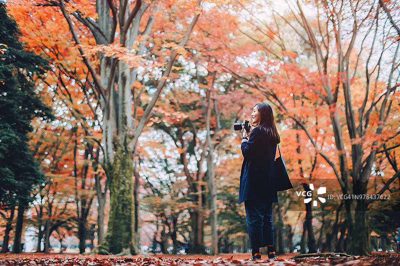 年轻女子欣赏自然风光，拍摄森林中美丽的红枫叶图片素材