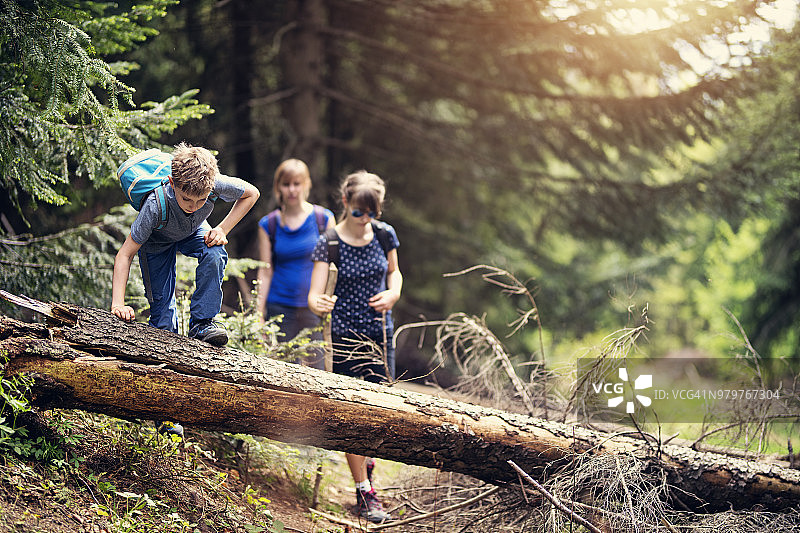 一家人在森林里徒步旅行图片素材