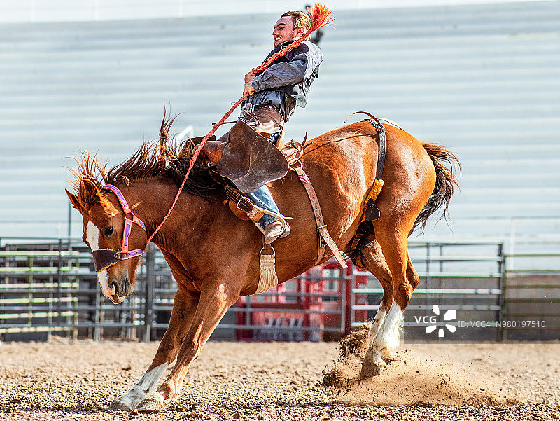 蛮野烈马图片素材