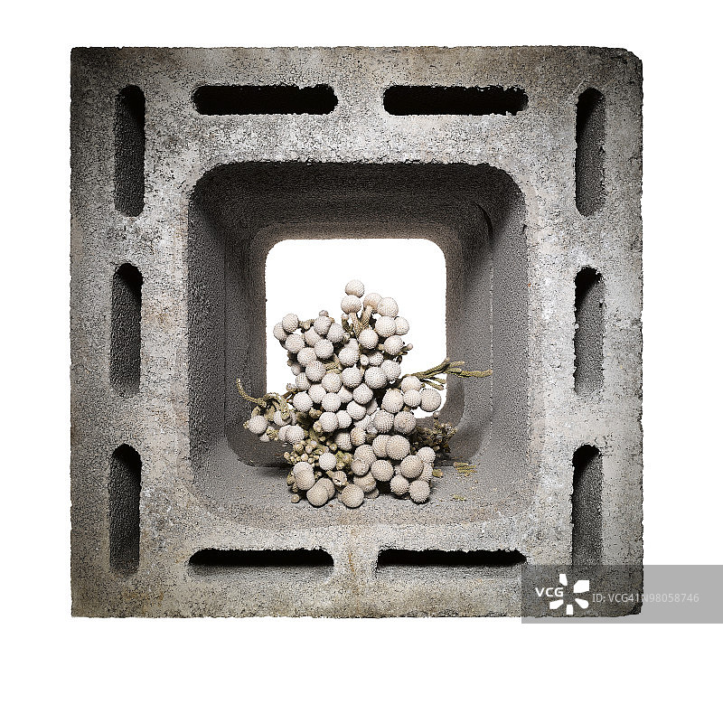 鲜花与煤渣砖图片素材