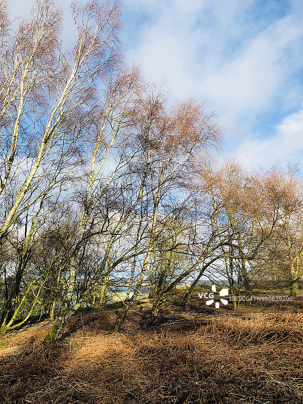 约克郡风景图片素材