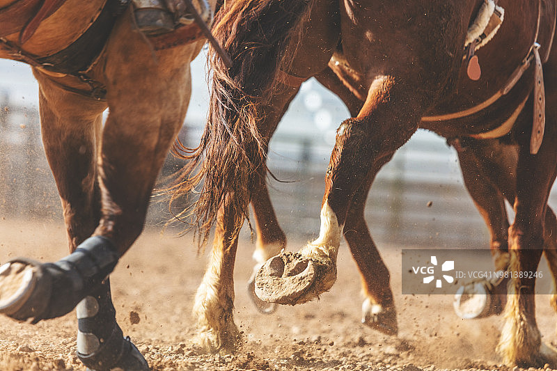 犹他州牛仔竞技表演：马鞍骑术和西部户外竞技图片素材