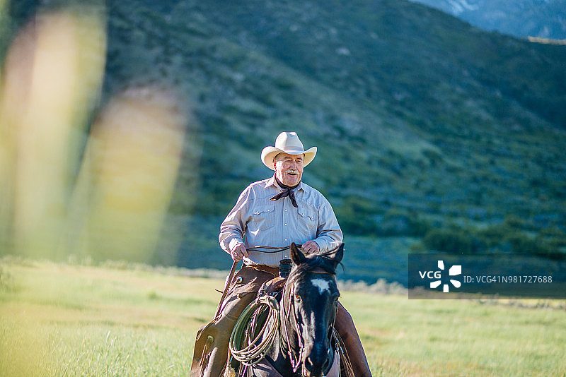 棕色马背上的老年牛仔肖像图片素材