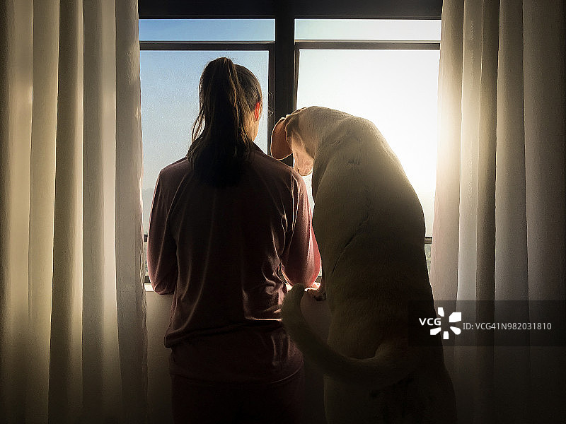 女人和她的狗在窗边图片素材