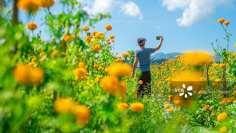 年轻男子在印度尼西亚巴厘岛黄色花卉农场的自拍肖像图片素材