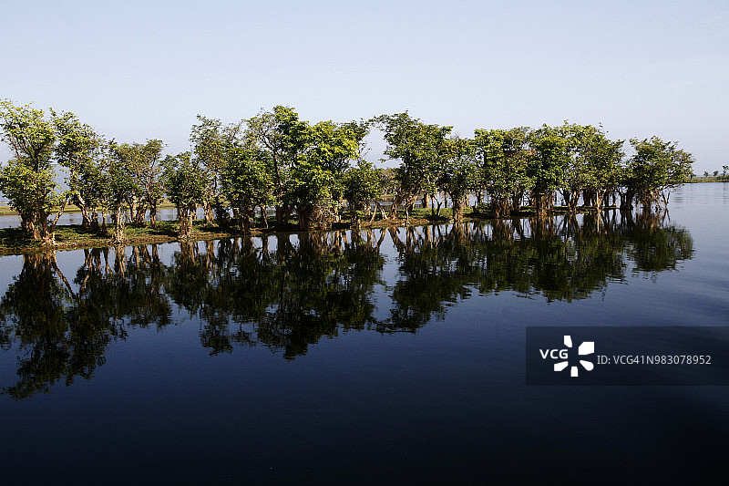 孟加拉国最大的淡水湿地图片素材