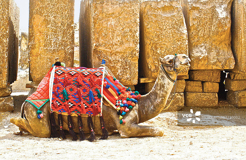 埃及吉萨大金字塔图片素材