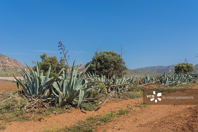西班牙阿尔梅里亚罗达尔基拉村附近的沙漠景观图片素材