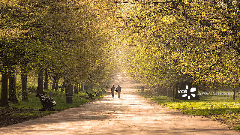 格林威治公园的清晨散步图片素材