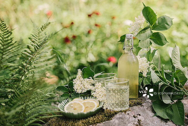 夏日阳光下的接骨木花柠檬汁图片素材