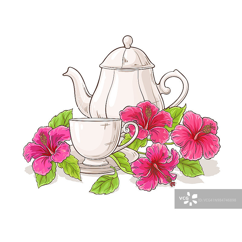 木槿花茶插画图片素材