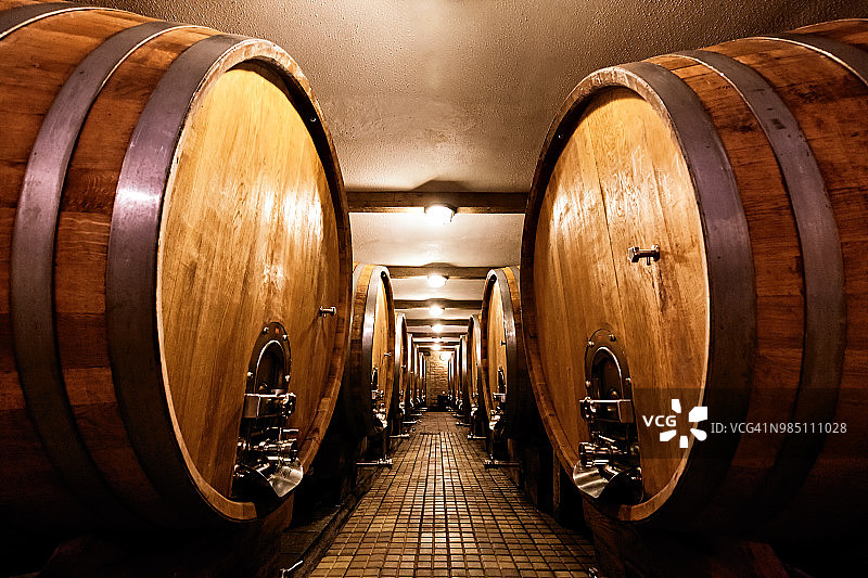 带一排桶的酒窖图片素材