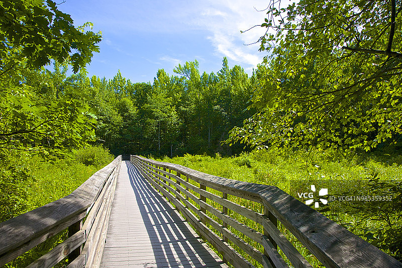 新泽西州大沼泽的木板路图片素材