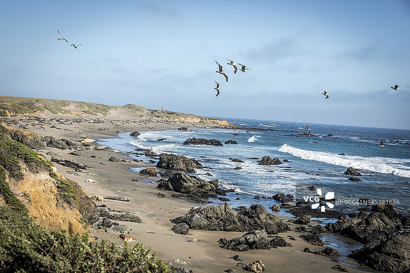 圣西蒙白石礁石海象图片素材
