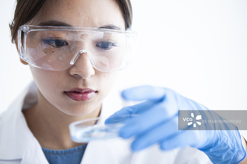 培养皿和妇女图片素材