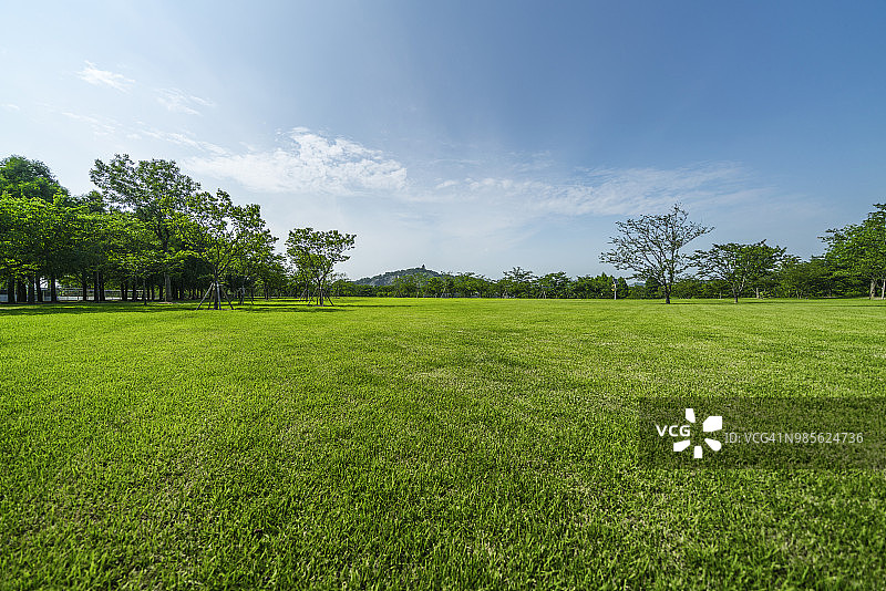 绿色草原和蓝色天空图片素材