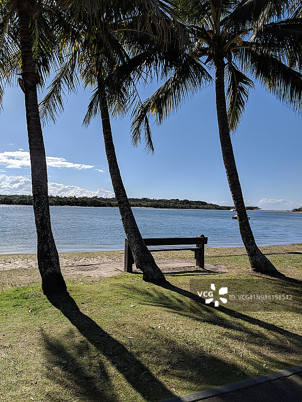 澳大利亚昆士兰州的三棵棕榈树图片素材