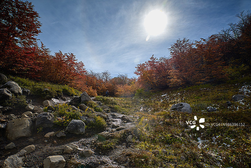 孔吉利奥国家公园的步道和秋日森林图片素材