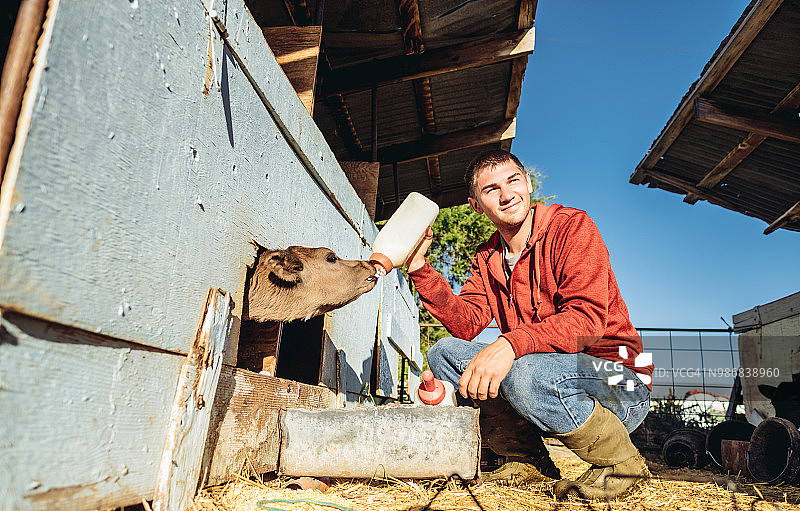 年轻的奶农图片素材