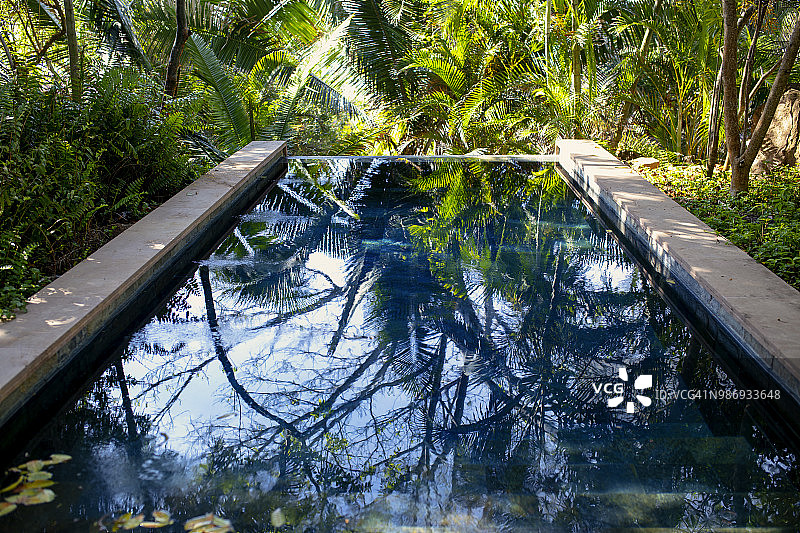 热带雨林中的水池图片素材