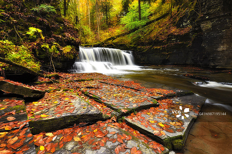 菲尔莫尔格伦州立公园的落叶和瀑布图片素材