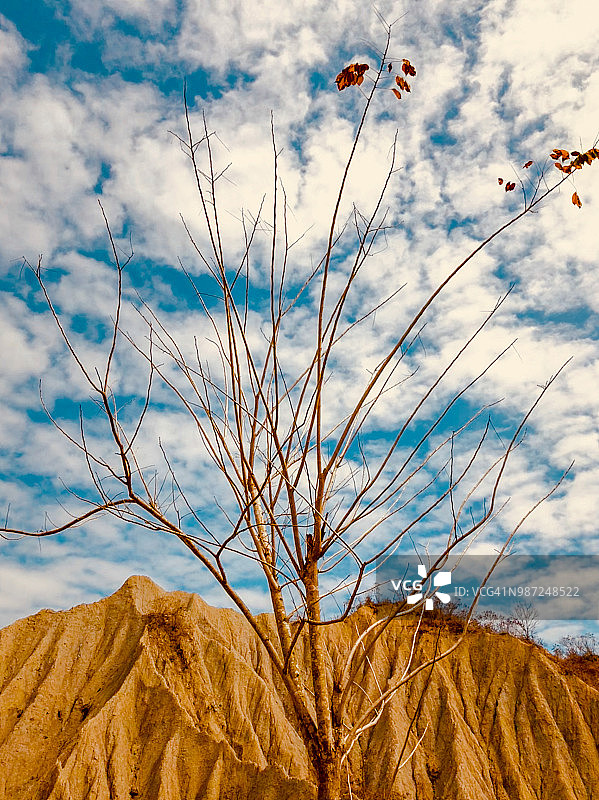 中国台湾高雄田寮“月世界”的世界级地貌奇观图片素材