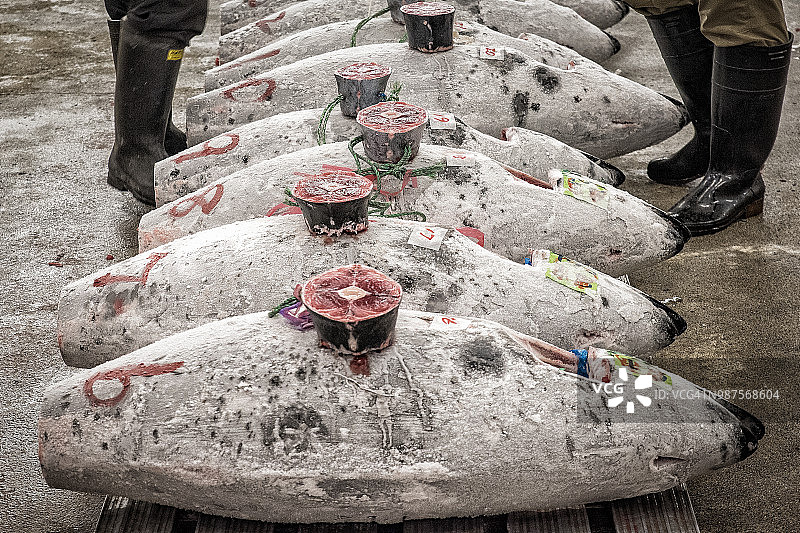 筑地鱼市旧址图片素材