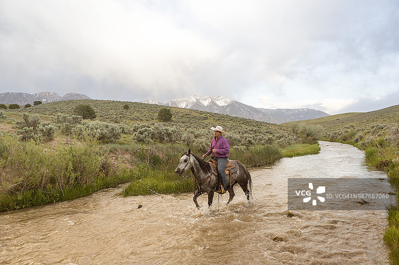 牛仔在圣奎因山谷盐湖城乡村小溪骑马图片素材