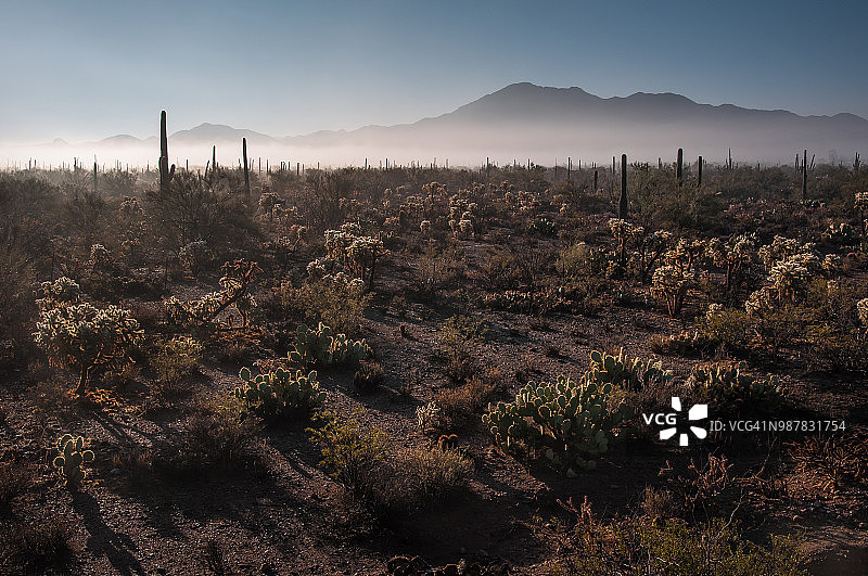 沙漠雾图片素材