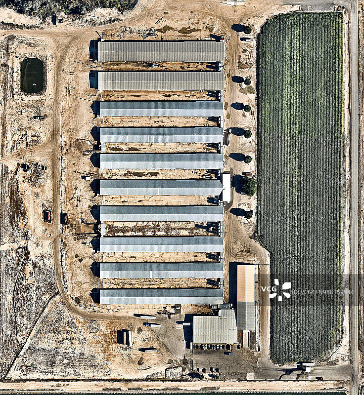 美国科罗拉多州大章克申的农业图片素材