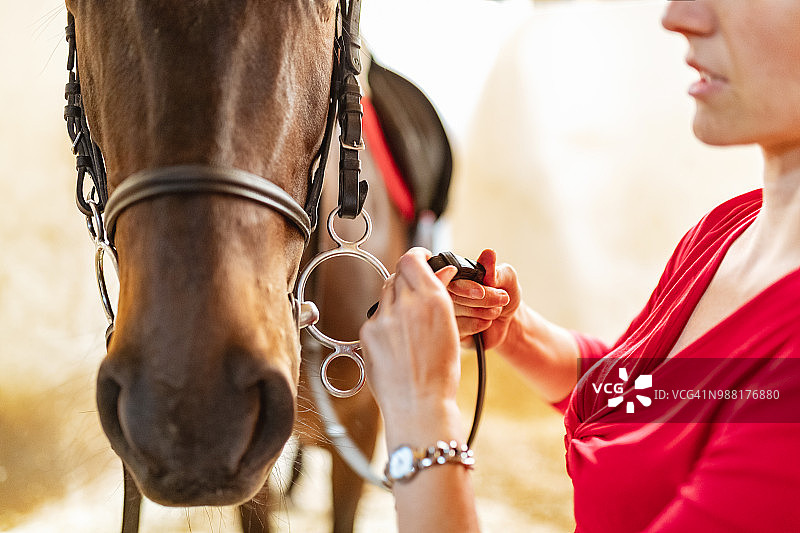 调整马术缰绳图片素材