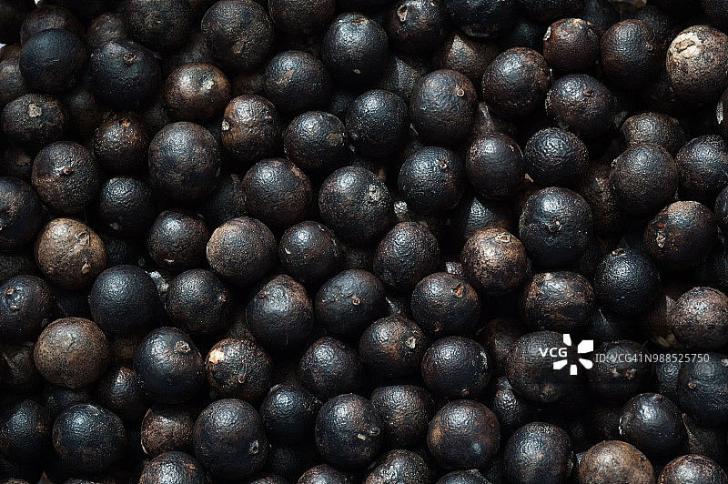 阿萨伊果图片素材