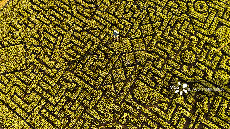 宾夕法尼亚州波科诺斯地区的巨型万圣节玉米迷宫图片素材