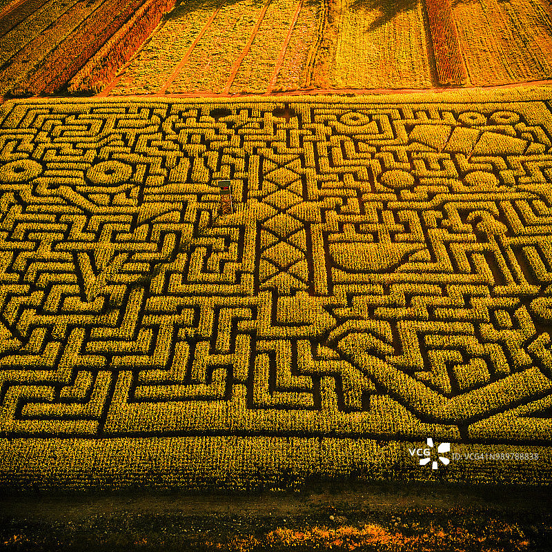 宾夕法尼亚州波科诺斯地区的巨型万圣节玉米迷宫图片素材