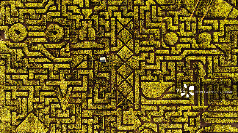 宾夕法尼亚州波科诺斯地区的巨型万圣节玉米迷宫图片素材