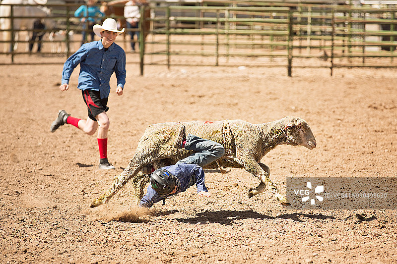 男孩在骑羊时脸朝下摔倒图片素材